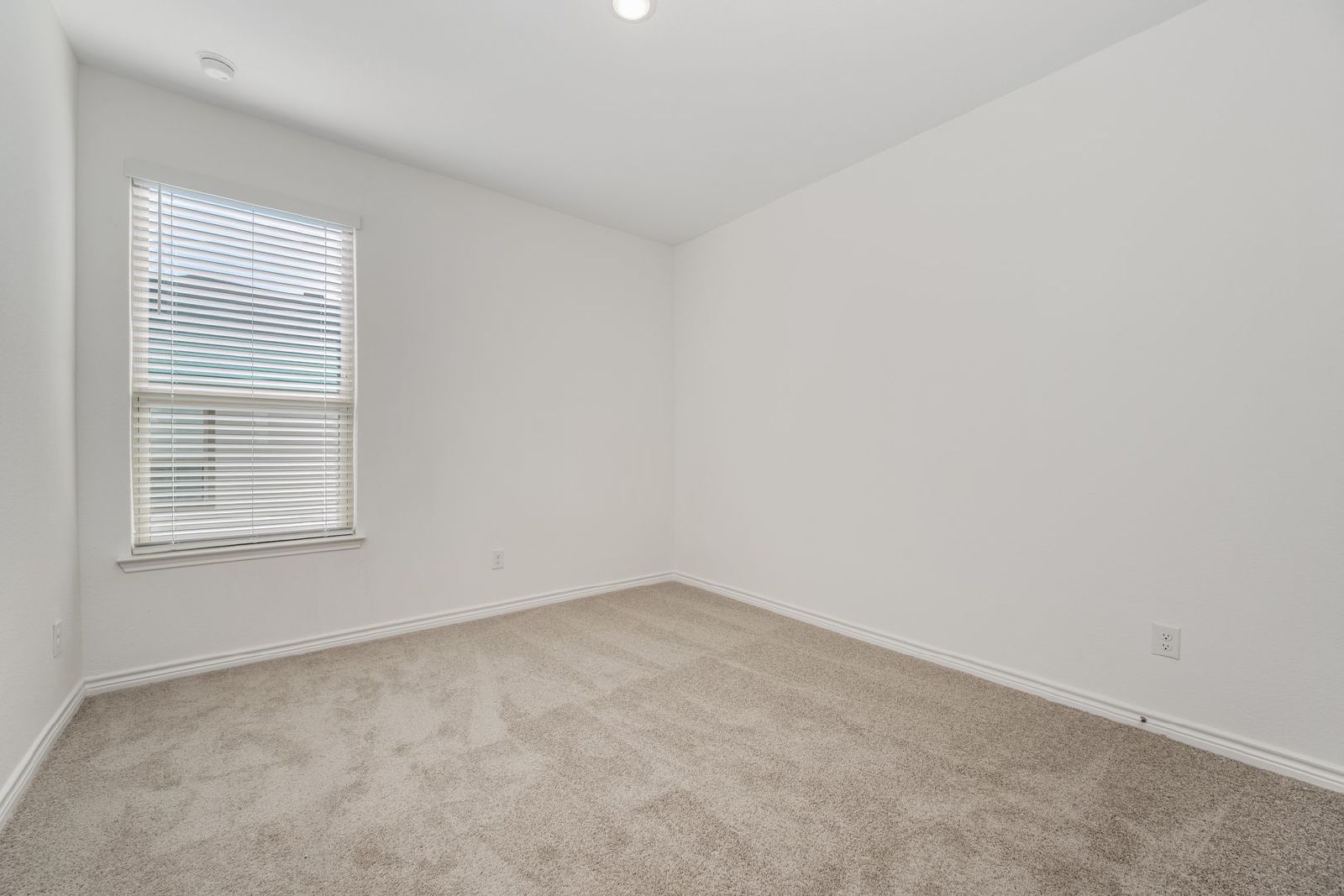 Brand-New 4-Bed, 2.5-Bath Duplex with Fenced Yard property image