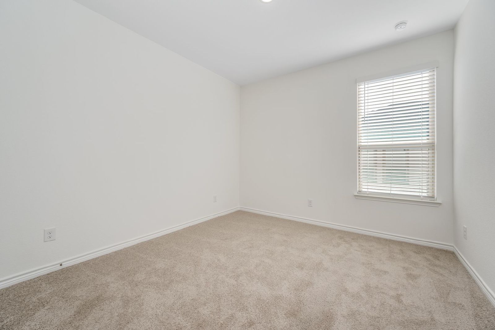 Brand-New 4-Bed, 2.5-Bath Duplex with Fenced Yard property image